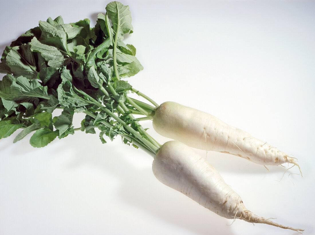 Gemüse aus aller Welt, Frei- steller: 2 weiße, kurze Rettiche