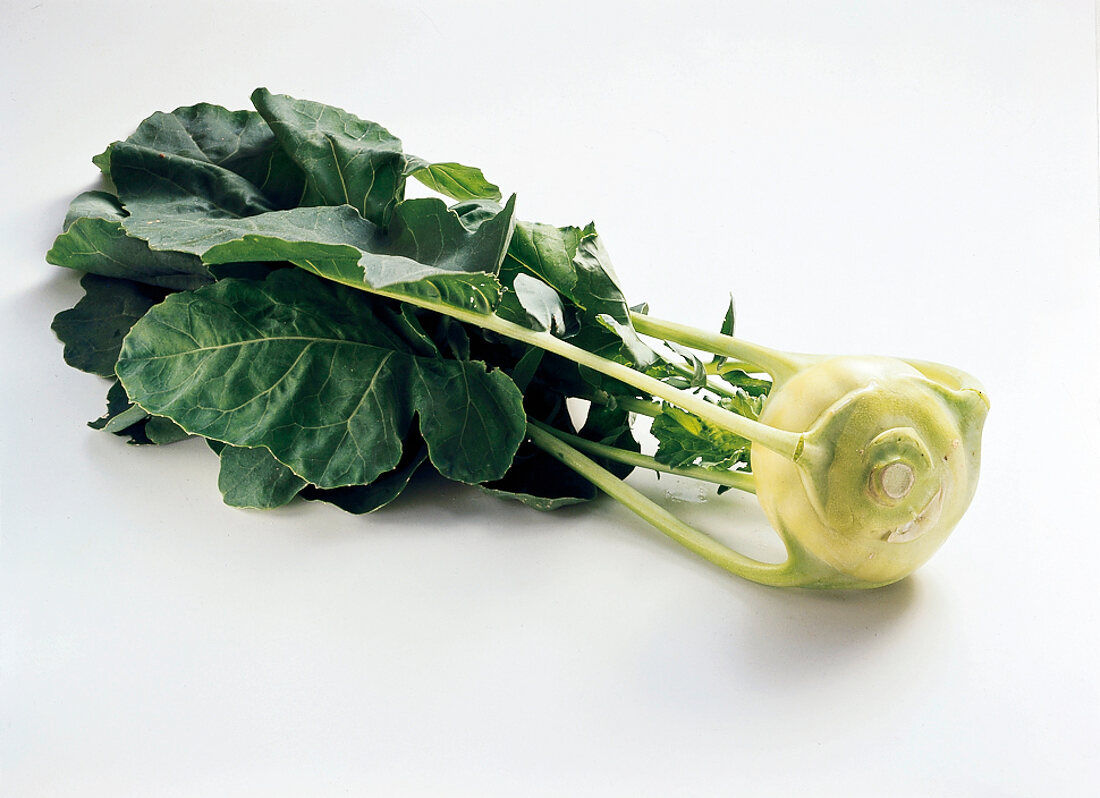 Gemüse aus aller Welt, Freisteller: grüner Kohlrabi