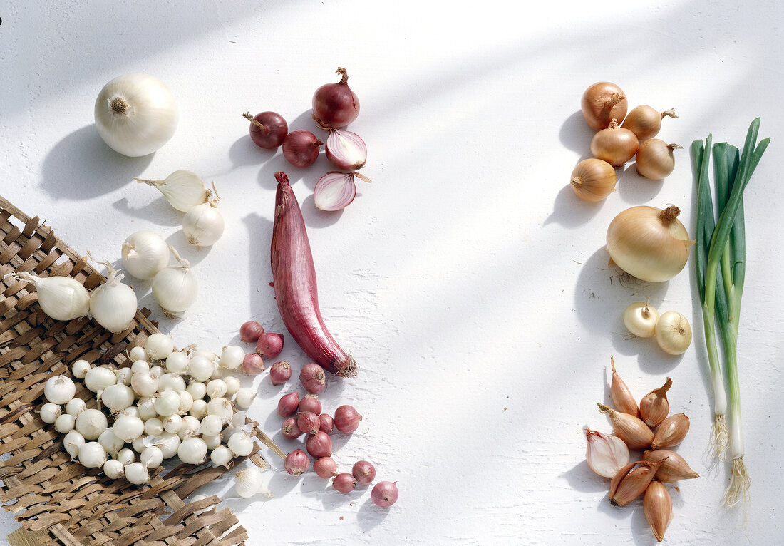 White, red, brown and spring onions on white background