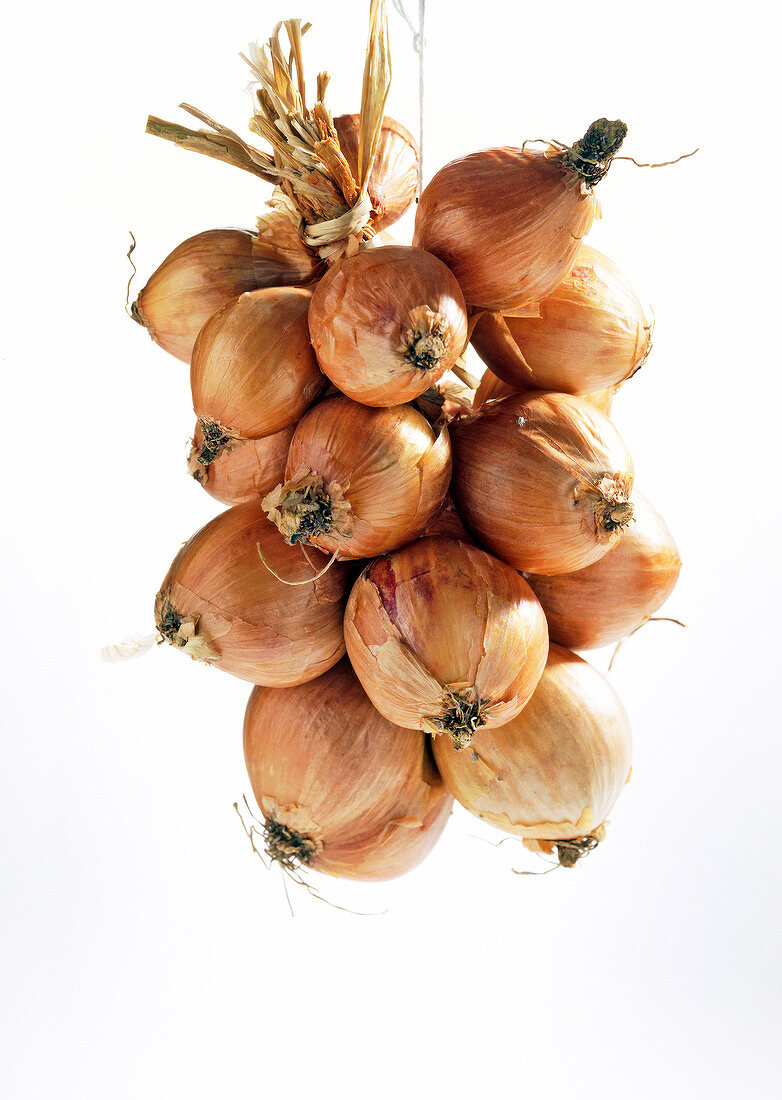 Bunch of brown onion on white background