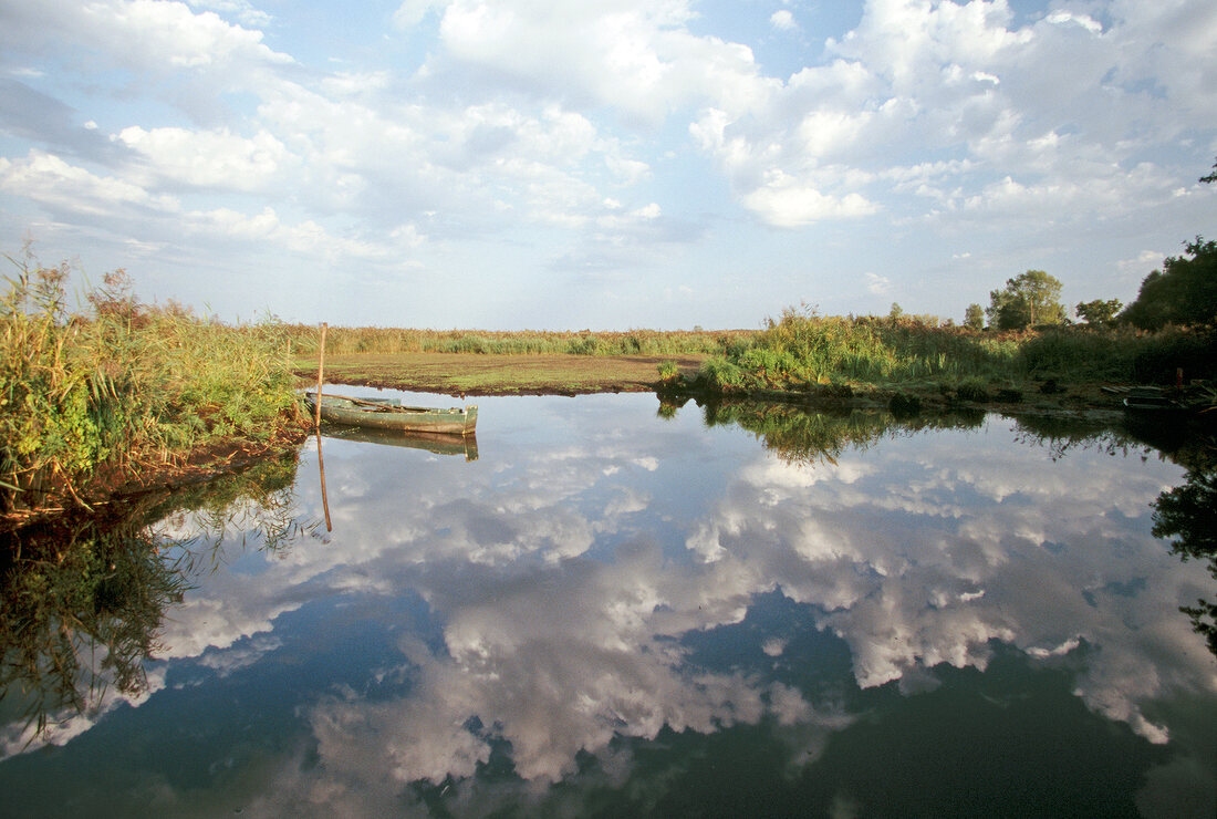 View of swamp landscape of Parc Naturel de la Briere and boat moored at lake, France