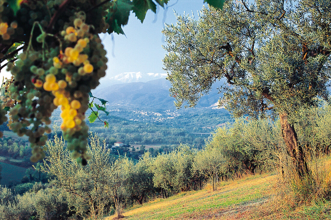 Blick von San Martino auf die Gipfel des Maiella-Massivs