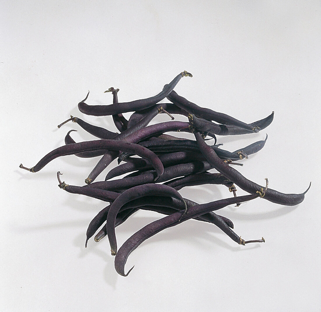 Black beans on white background