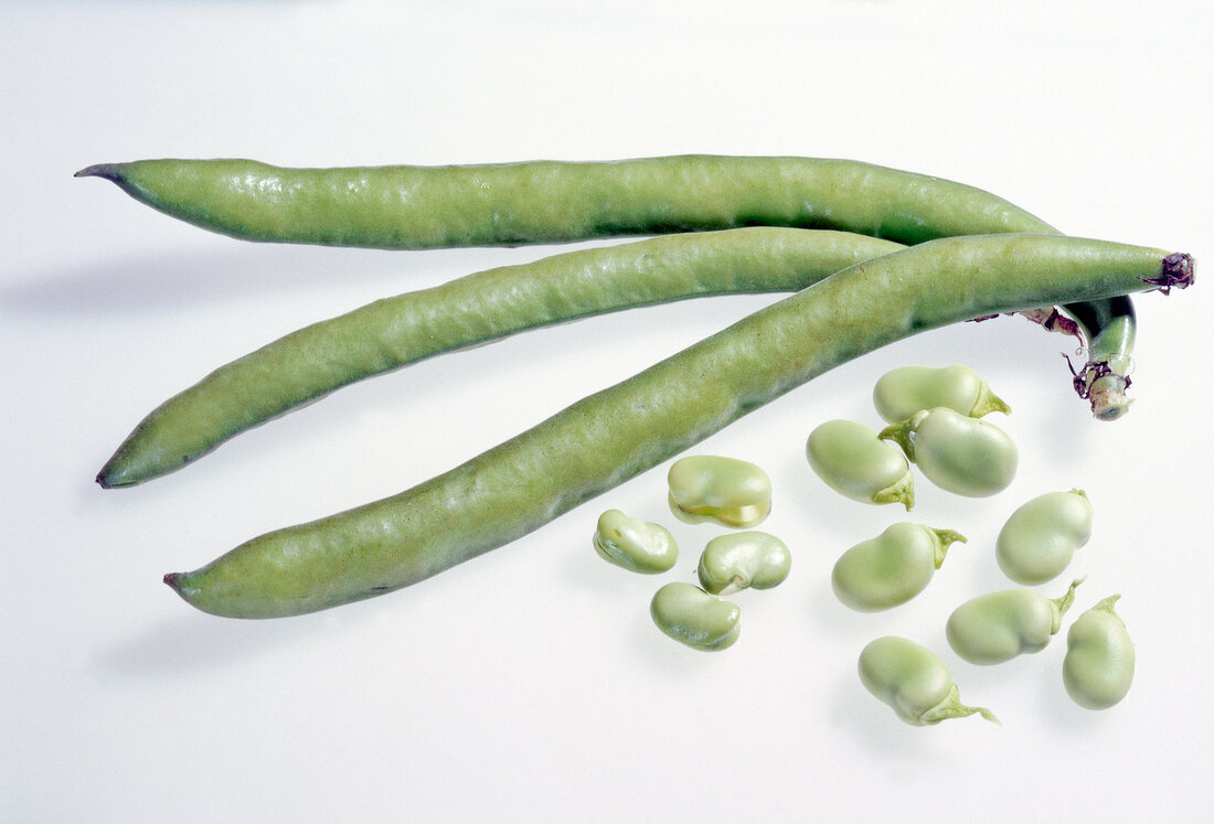 Green broad beans on white background