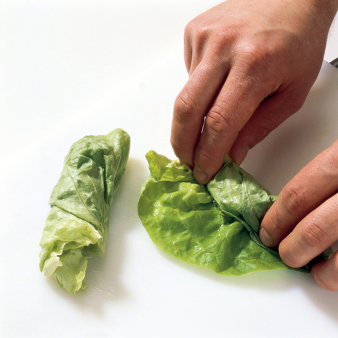 Gemüse aus aller Welt, Salatblätter m. Fingern aufrollen, Step 1
