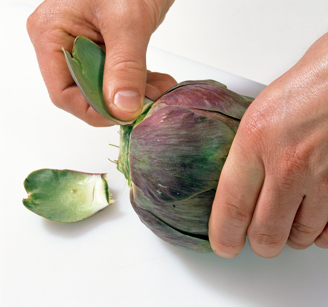 Close-up of hands plucking leaves of artichoke, step 2