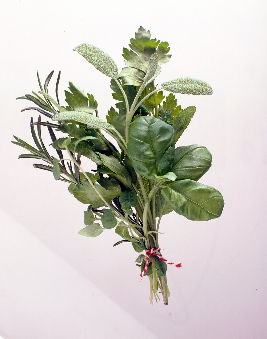 Bunch of herbs with rosemary, oregano, parsley, sage and basil