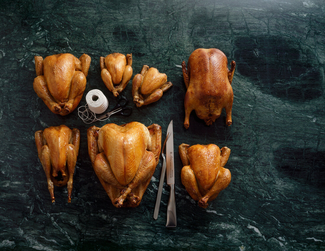 Diverse Geflügelsorten, knusprig gebraten, Hintergrund dunkel