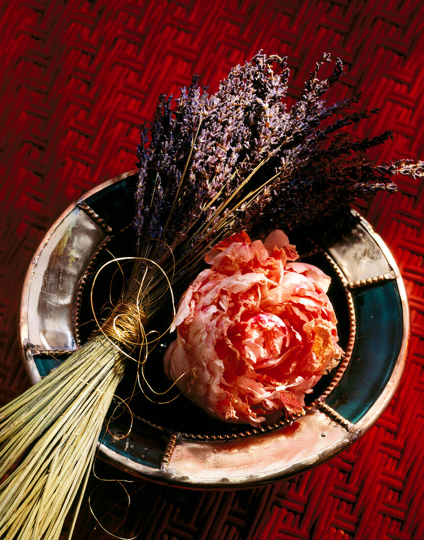 Pfingstrosenblüte mit Lavendel auf einem Teller, close-up.