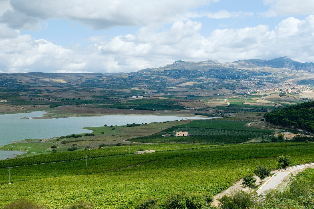 View of town between vineyards in Sicily at Contrada Ulmo
