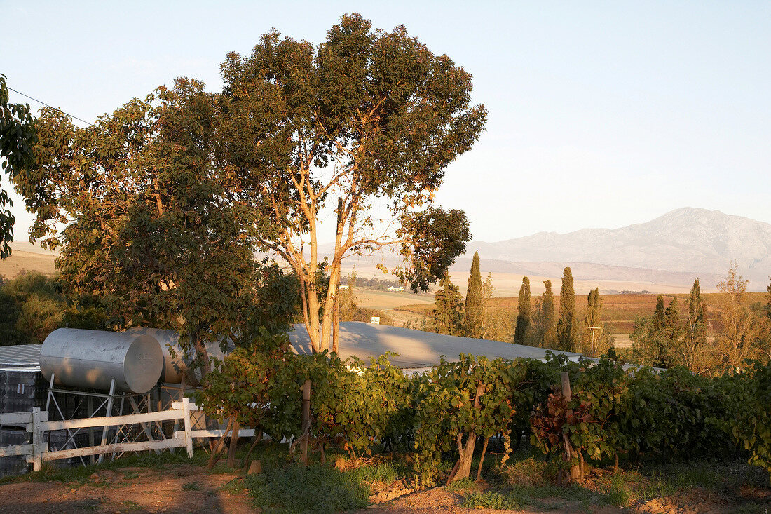 View of landscape of Beaumont winery, South Africa