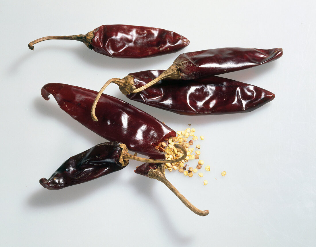 Close-up of chilli guajillo on white background