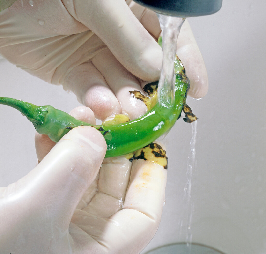 Skin of green chilli being peeled with help of running water, step 3