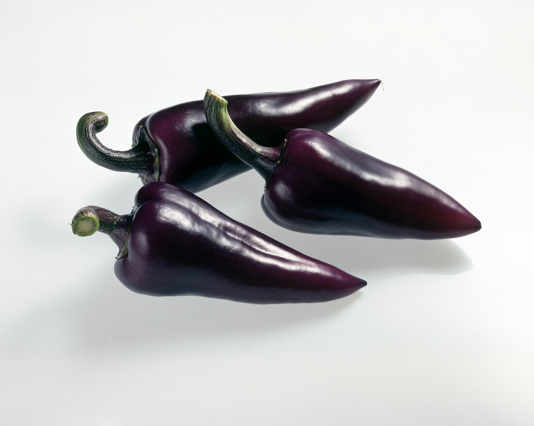 Three sweet purple lace peppers on white background