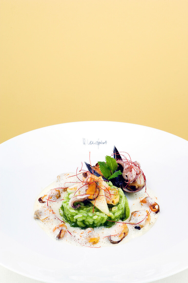 Parsley risotto with mussels and calamari on plate