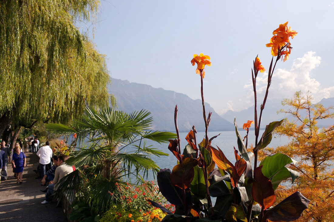Uferpromenade am Genfer See in Montreux in der Schweiz.