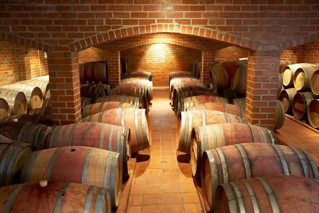 View of wine barrels in wine cellar at Ken Forrester Winery, Stellenbosch, South Africa