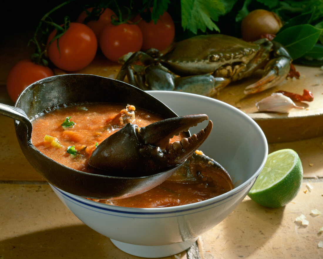 Blue crab soup with shell in bowl with spoon, Mexico