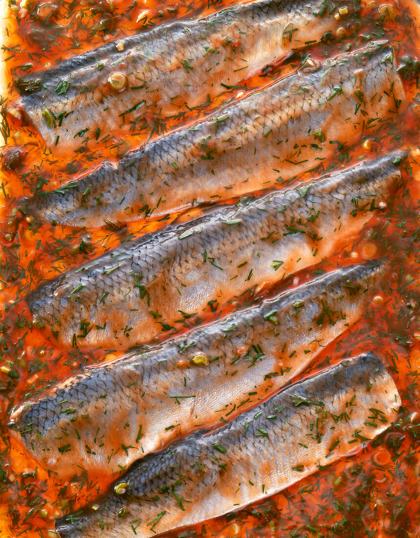 Close-up of herring fish marinated with tomato gravy and dill herb
