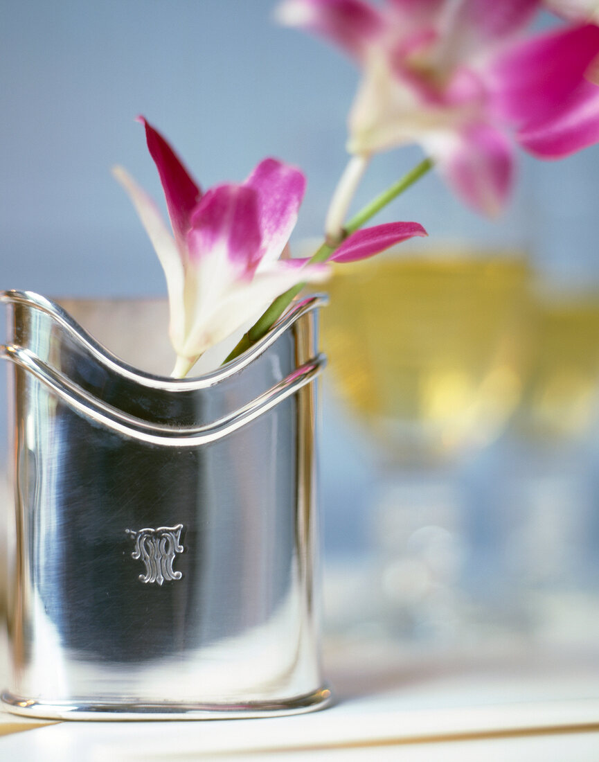 Close-up of pink orchid in oval flower vase