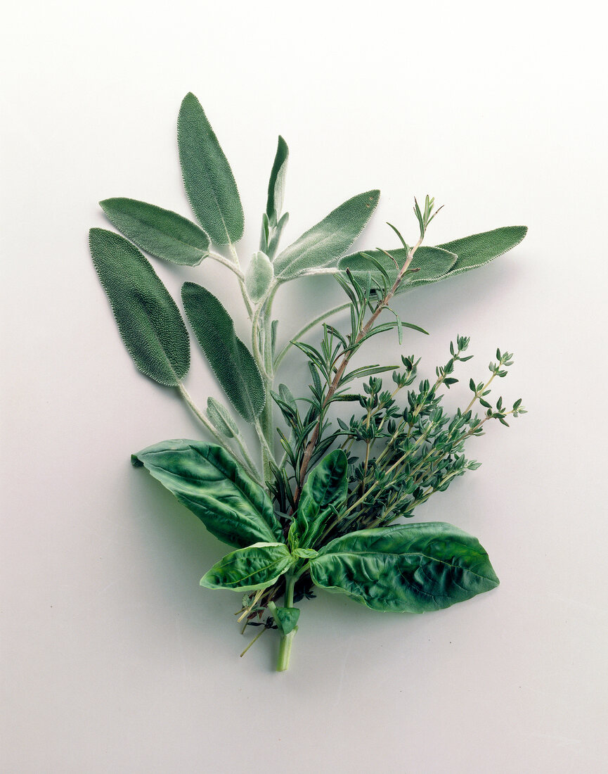 Fresh herbs like thyme, rosemary and sage on white background