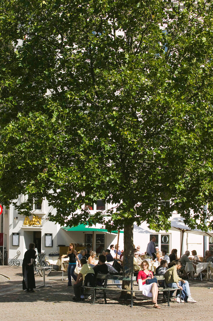 Baum mit Bank, dahinter Restaurant am Grabrodretorv in Kopenhagen.