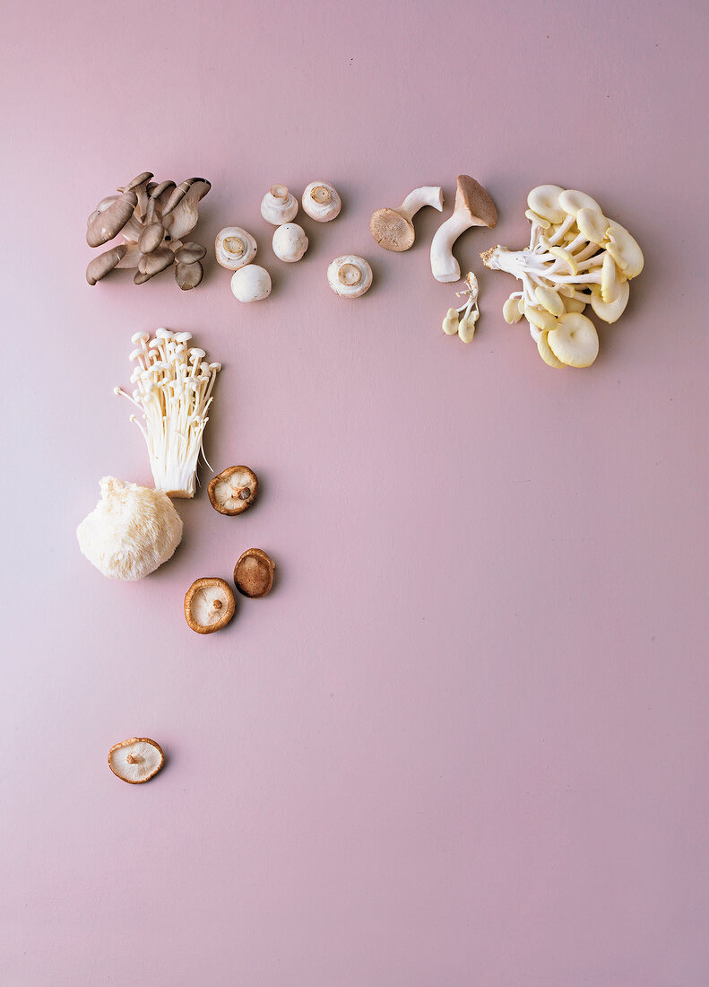 Several varieties of cultivated mushrooms on pink background