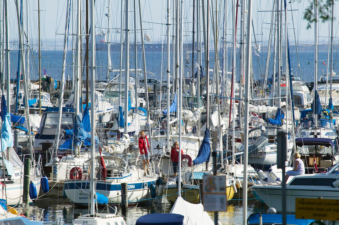 Yachthafen von Rungsted am Öresund, Dänemark.