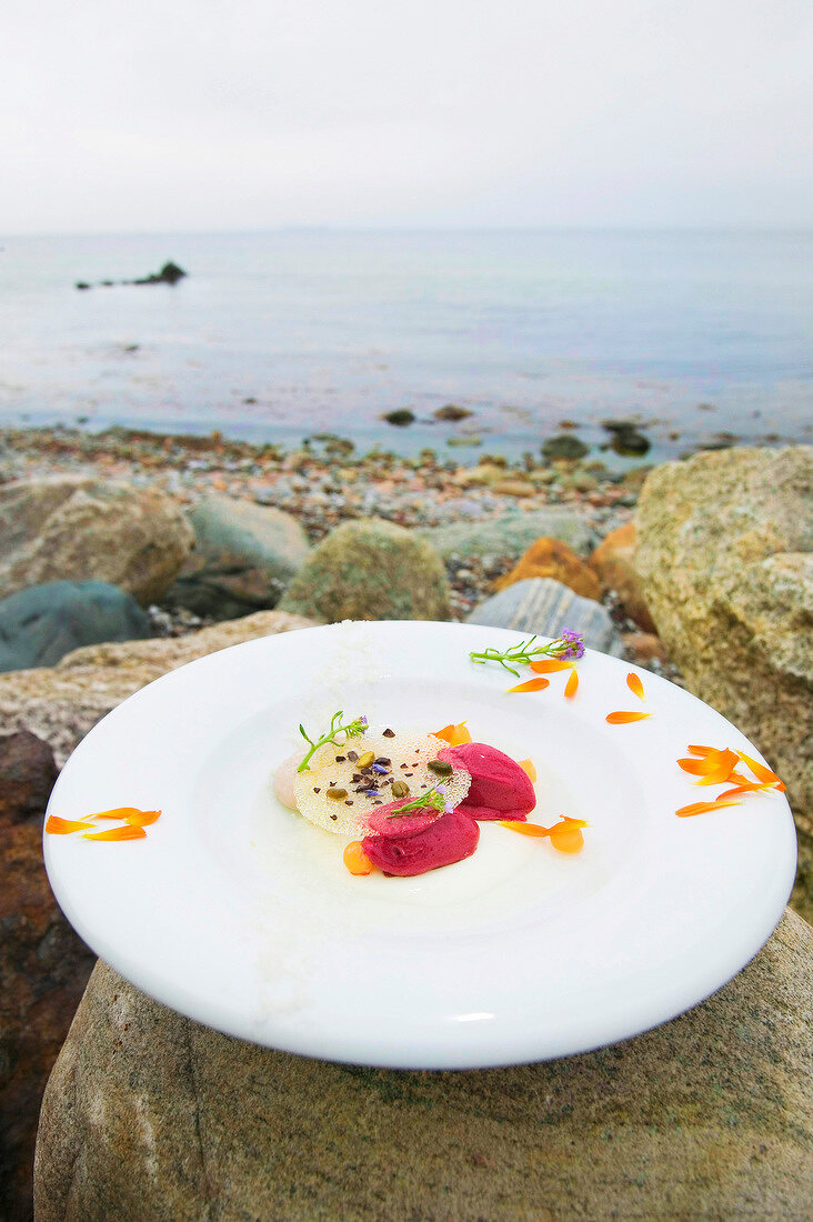 Sorbet of red berries decorated with petals on plate, sea in background