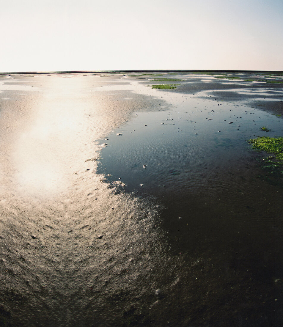 View of Wadden Sea with flat mud land and sky