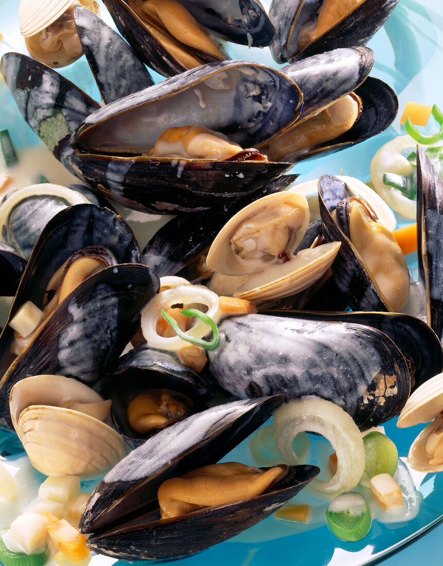 Close-up of mussels with cream sauce
