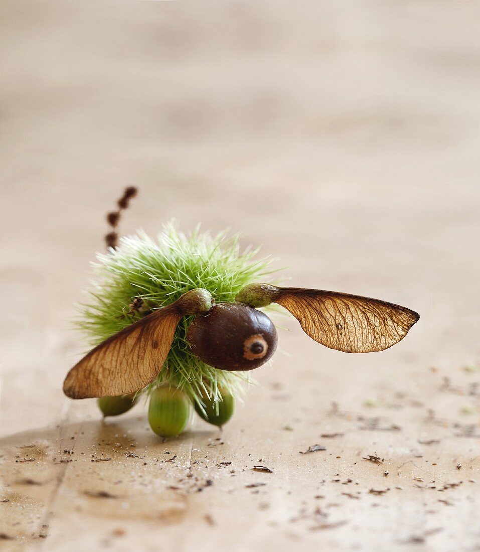 Animal figurine made from chestnut shell, acorns and maple seeds