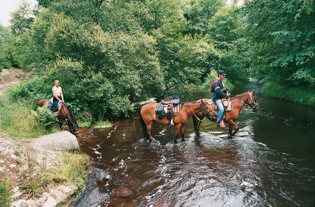 Menschengruppe überquert Fluß auf Pferden, Wald, im Grünen