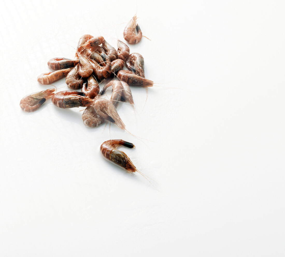 Close-up of raw shrimps on white background