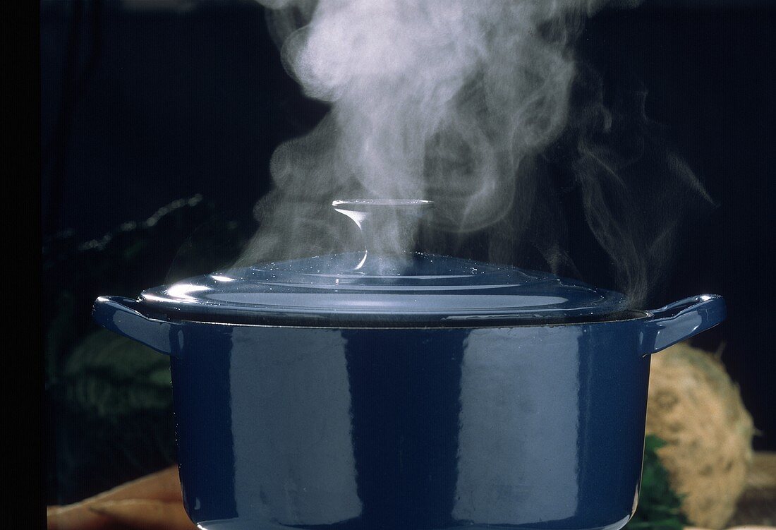 Steaming Blue Stock Pot with Lid