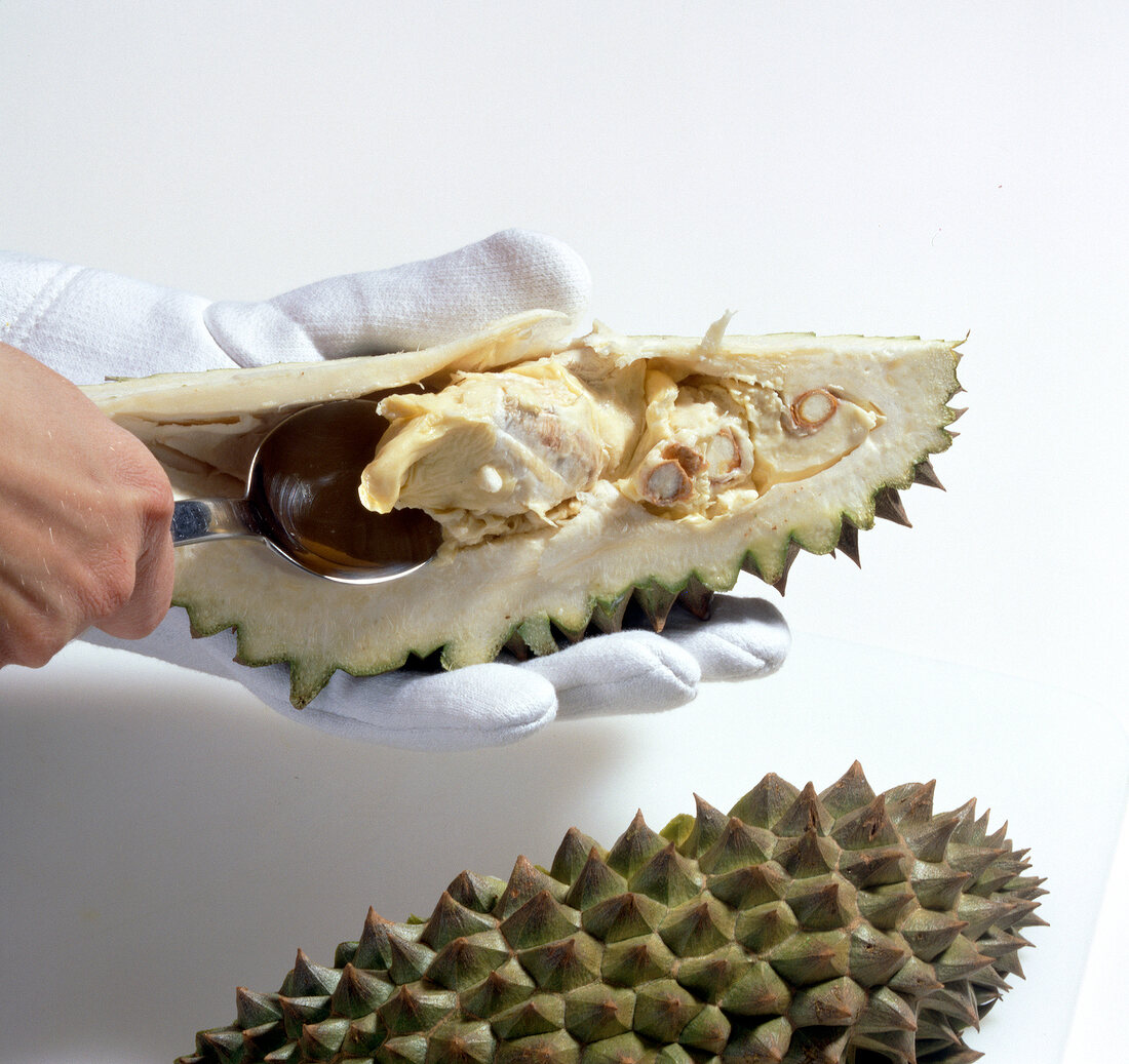 Close-up of removing seeds of durian with spoon