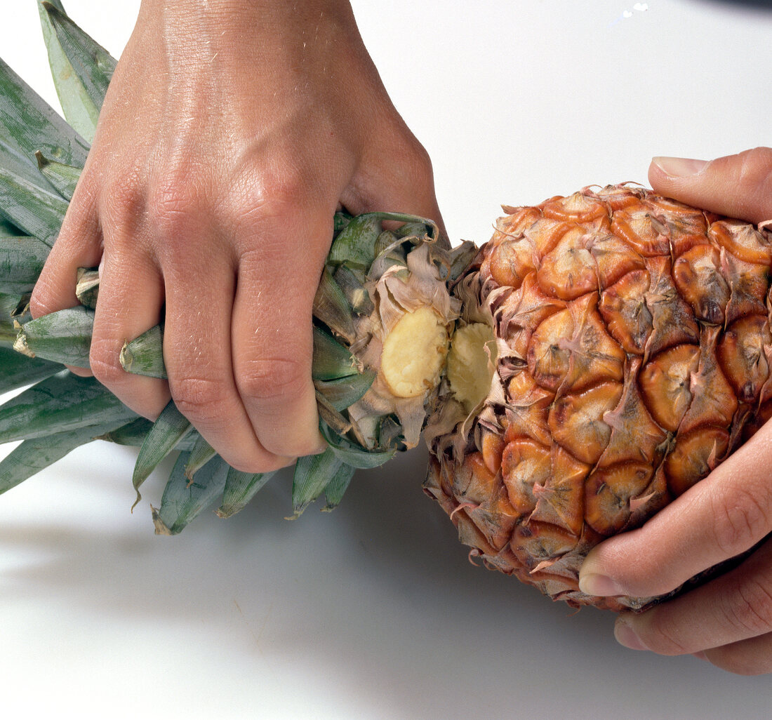 Removing leaf crown of pineapple, step 1