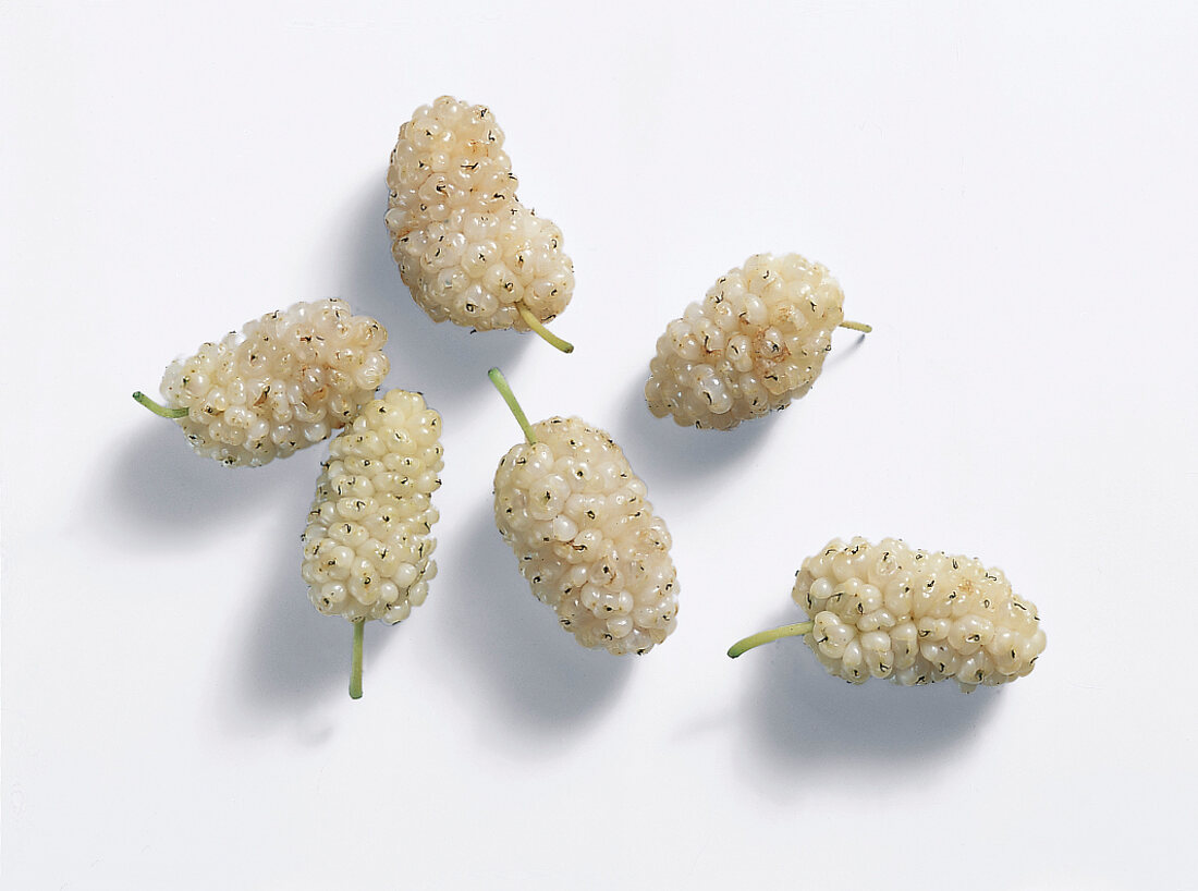 White mulberries on white background