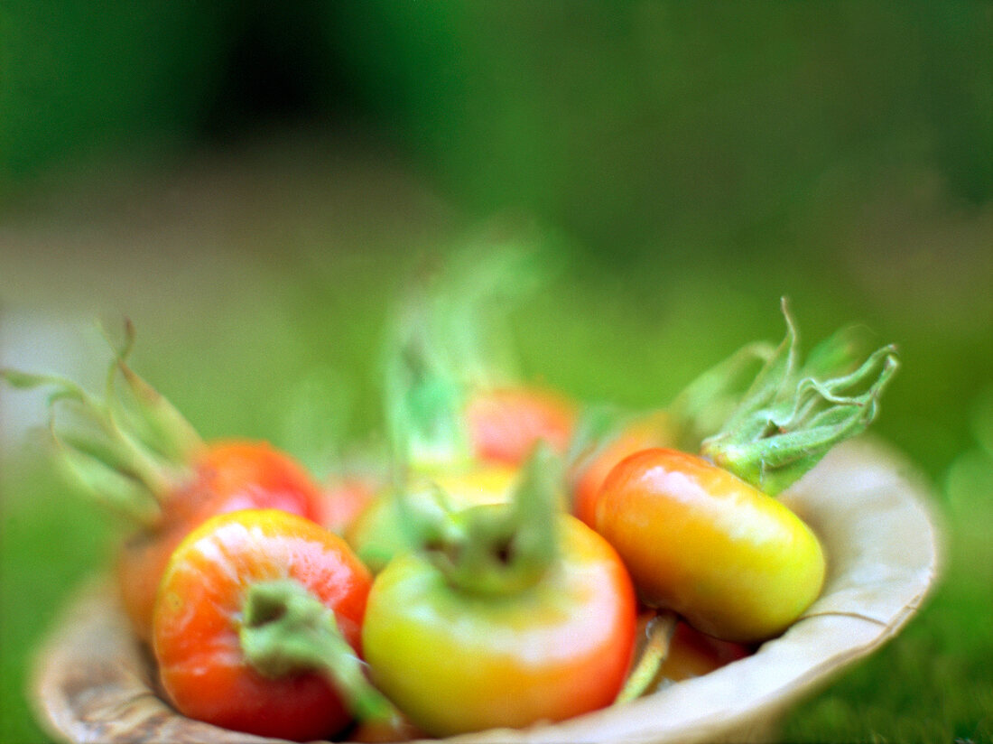 Close-up of bowl with several rose hips