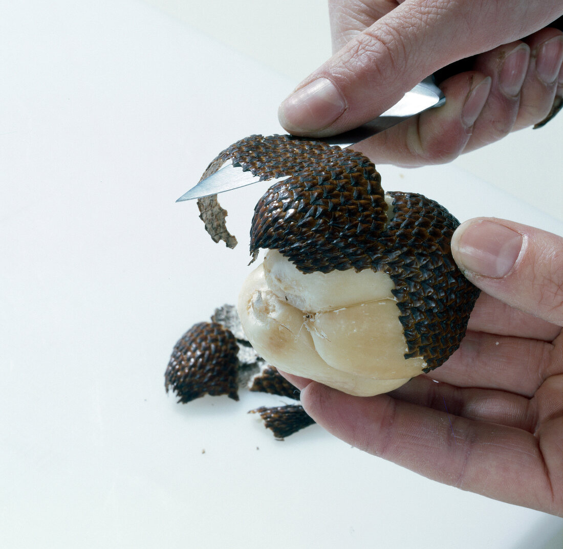 Salak being peeled with knife, step 1