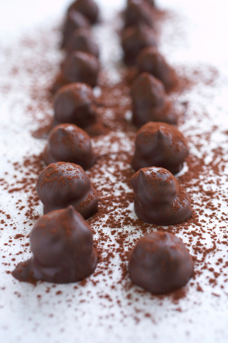 Close-up of chocolate pralines dusted with cocoa