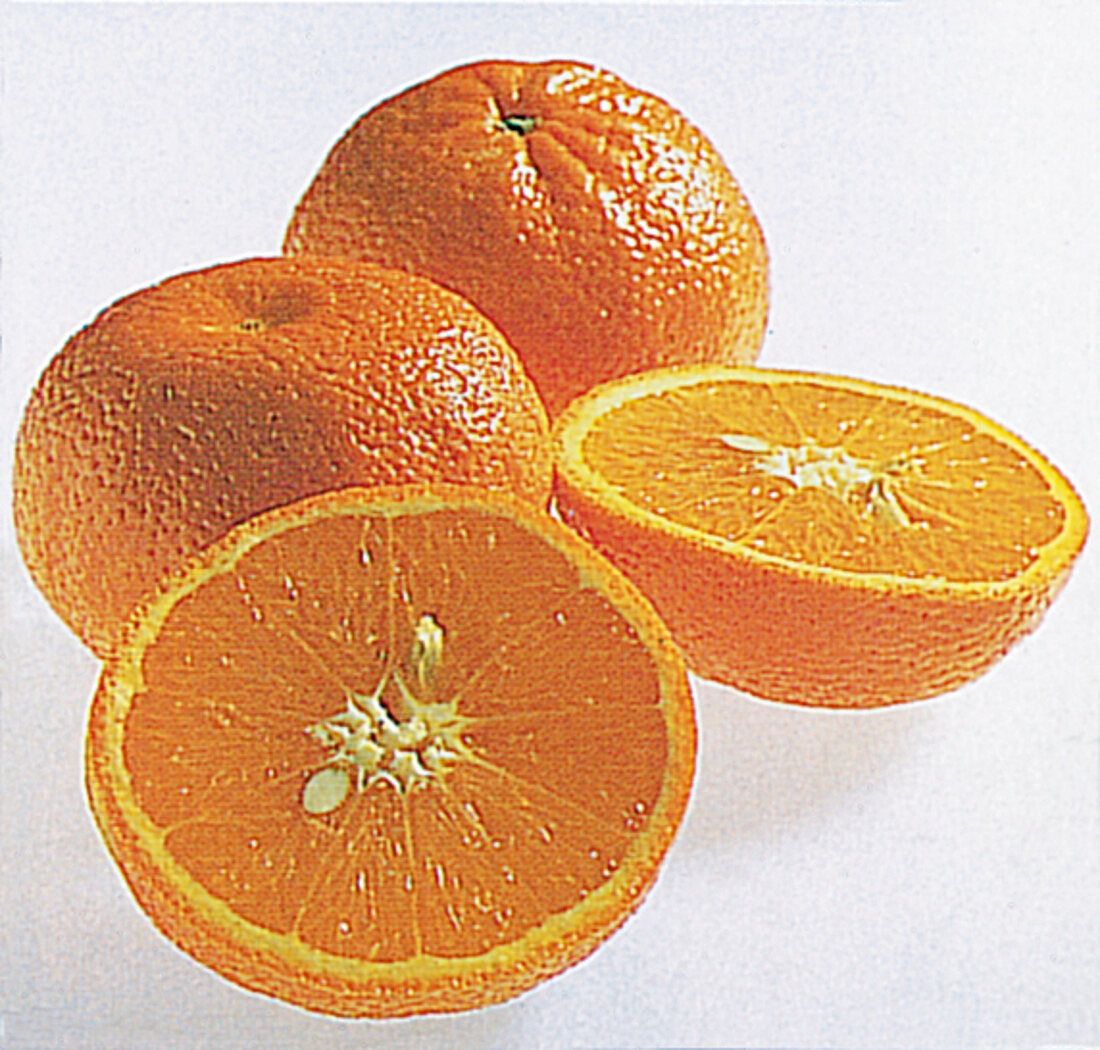 Buch der Exoten, Mandarinen, klein, runzlig, orange,"Tangerine"