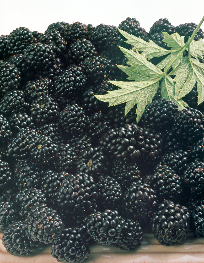 Close-up of heap of blackberries