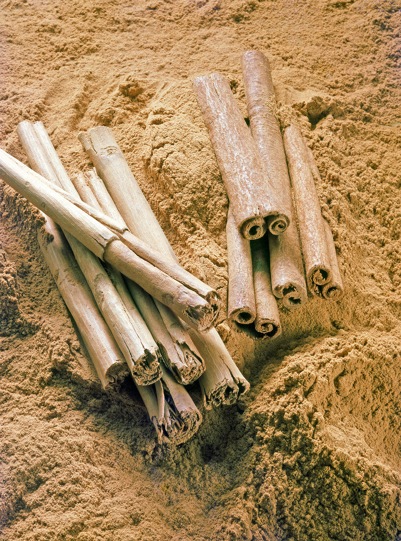 Close-up of cinnamon sticks with cinnamon powder