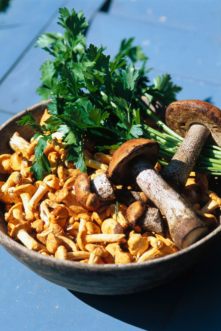 Fresh chanterelles and rotkappe in bowl