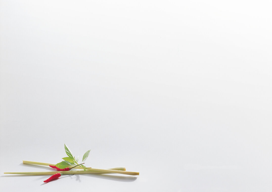 Chilli, lemon grass and Thai basil in white background, copy space