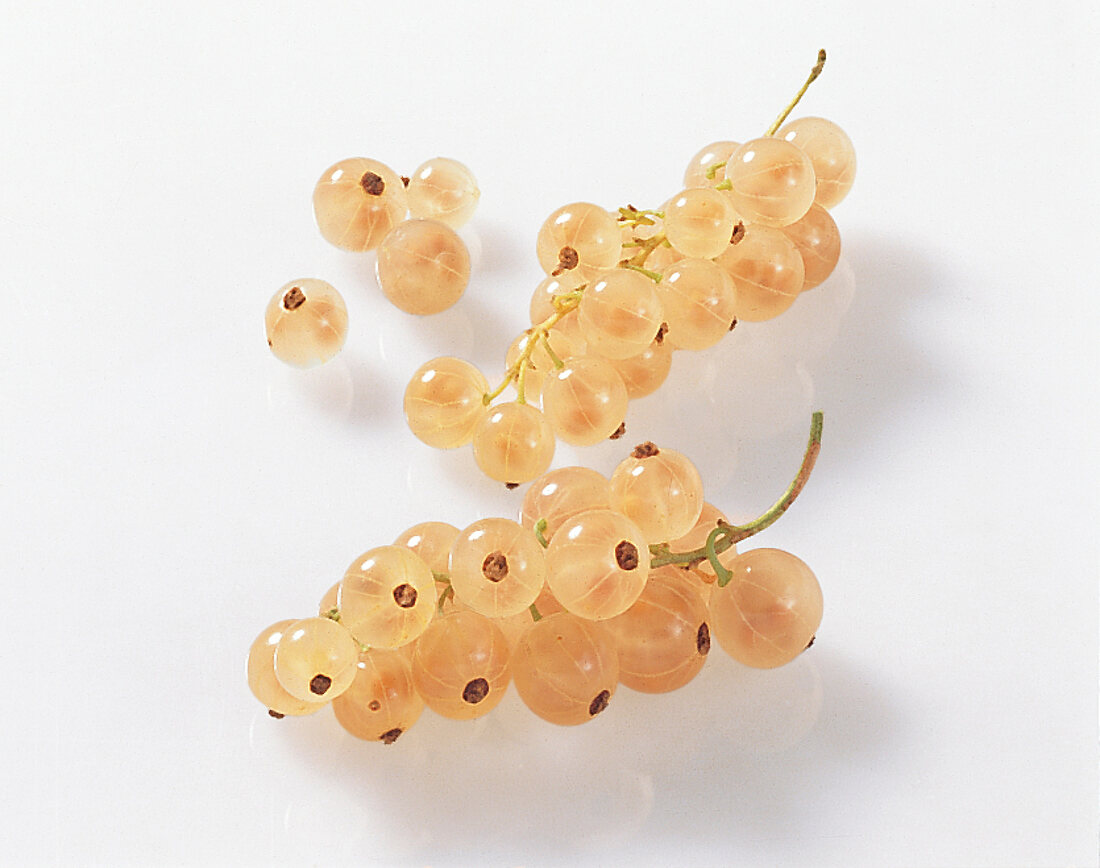 Bunch of white currants on white background
