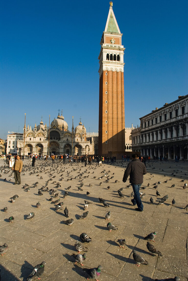Venedig: Markusplatz mit Basilica San Marco und Tauben, Sonne