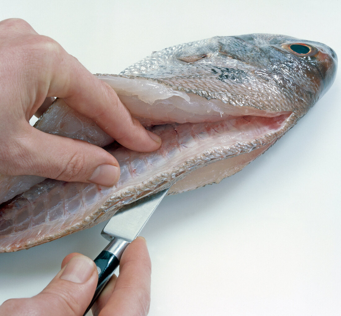 Fisch,  Step 2: an Wirbelsäule der Länge nach durchschneiden