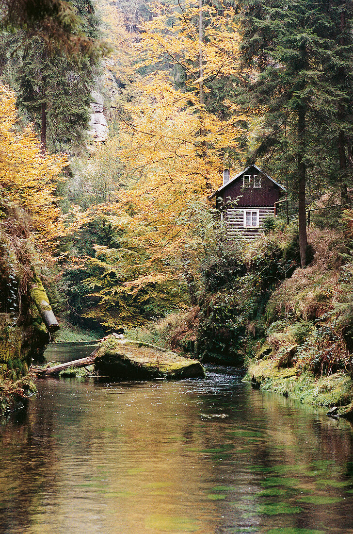 View of wooden cabin and river in forest during autumn